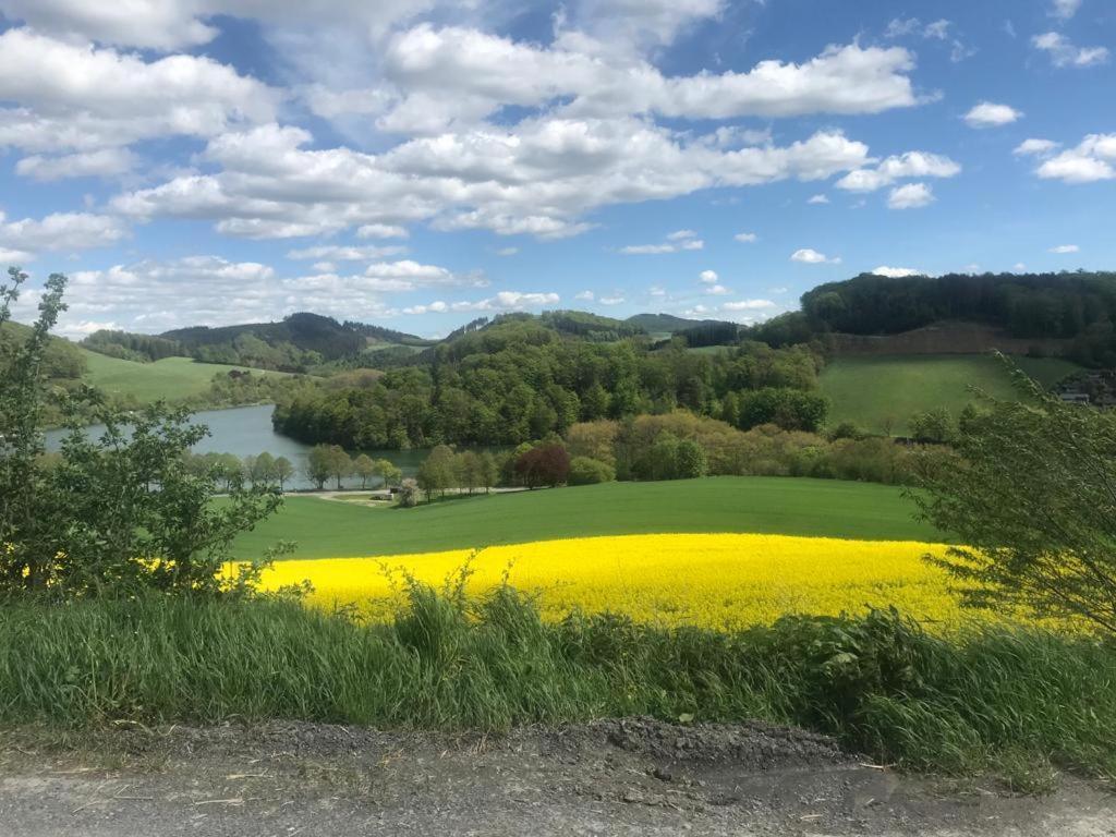 Haus Am Hennesee Meschede Exteriér fotografie